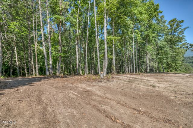 Tbd Sink Valley Road, Butler, TN 37640