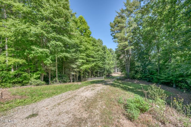 Tbd Sink Valley Road, Butler, TN 37640