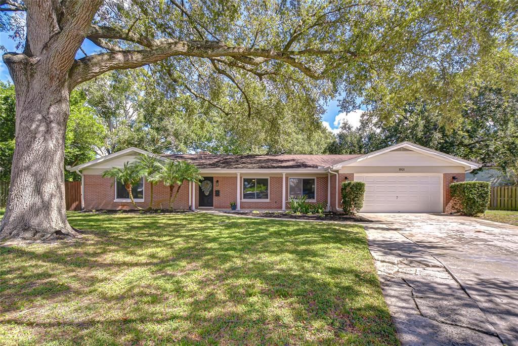 1901 LITTLE COVE, Tampa, FL 33613