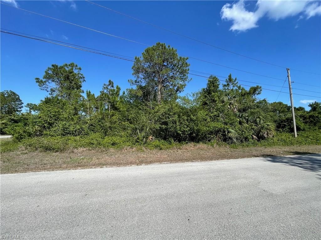 119 Fox AVE S, LEHIGH ACRES, FL 33974 — exterior