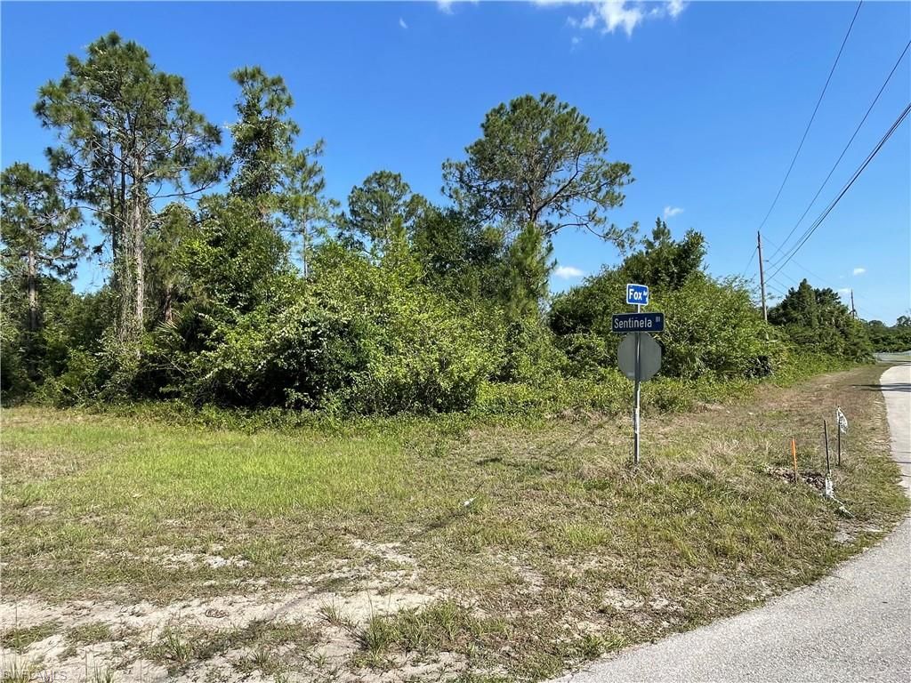 119 Fox AVE S, LEHIGH ACRES, FL 33974 — photo 3
