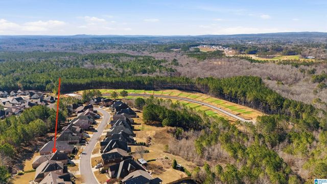 3044 CHELSEA PARK RIDGE, Chelsea, AL 35043