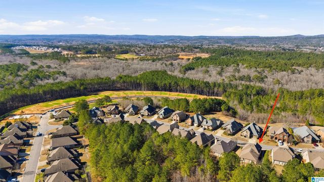 3044 CHELSEA PARK RIDGE, Chelsea, AL 35043