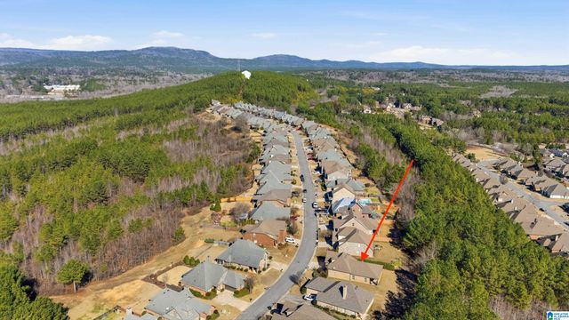 3044 CHELSEA PARK RIDGE, Chelsea, AL 35043