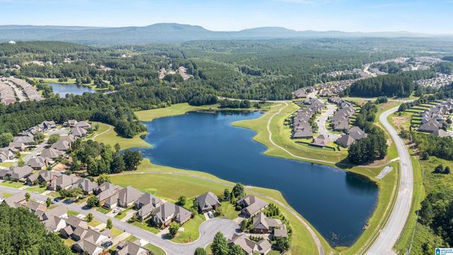 3044 CHELSEA PARK RIDGE, Chelsea, AL 35043