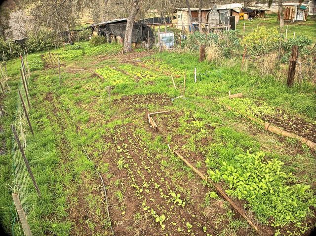 45682 Columbine Lane, Yokuts Valley, CA 93675