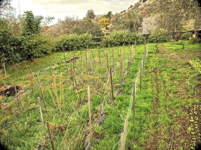 45682 Columbine Lane, Yokuts Valley, CA 93675