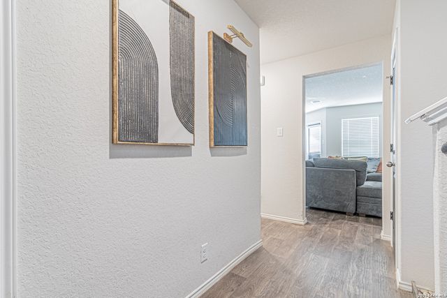 15210 Smoky Honeyeater, San Antonio, TX 78253