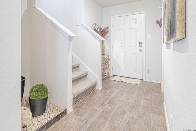 15210 Smoky Honeyeater, San Antonio, TX 78253