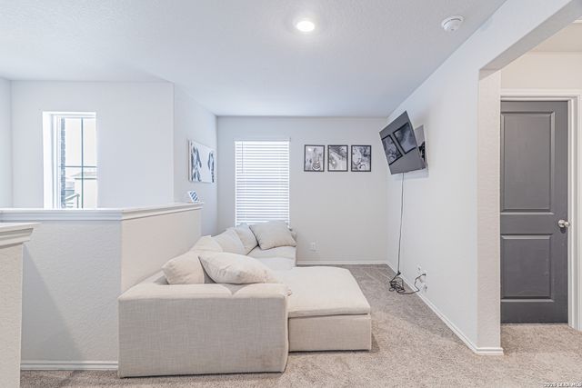 15210 Smoky Honeyeater, San Antonio, TX 78253