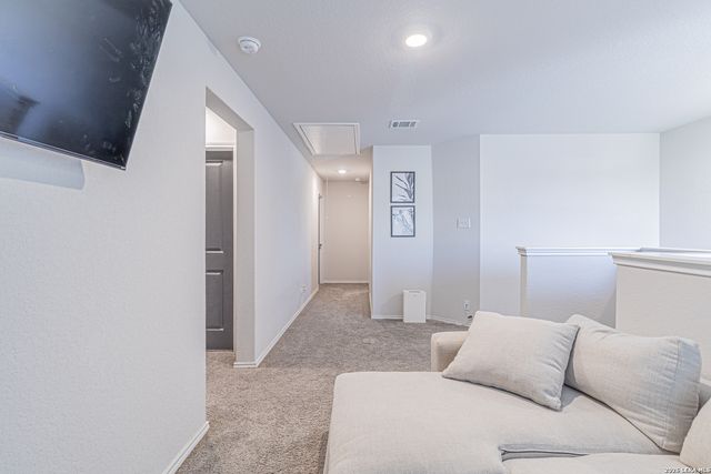 15210 Smoky Honeyeater, San Antonio, TX 78253