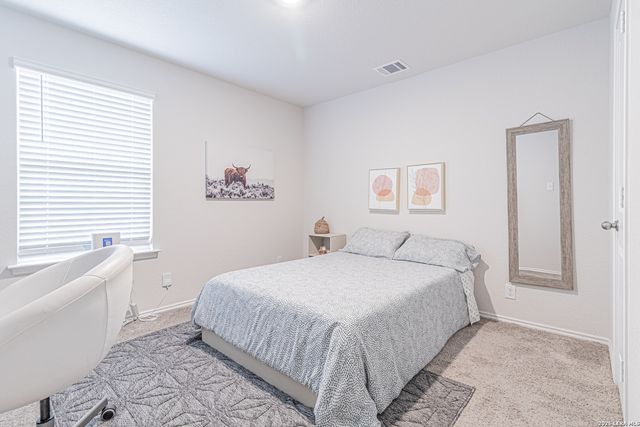 15210 Smoky Honeyeater, San Antonio, TX 78253