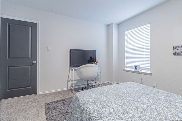 15210 Smoky Honeyeater, San Antonio, TX 78253