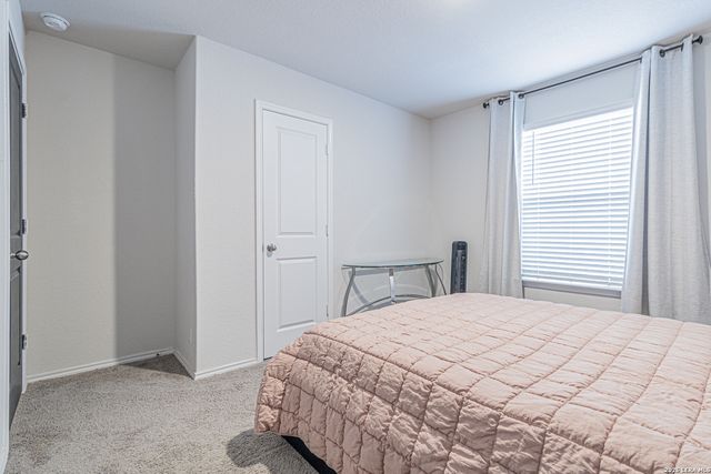 15210 Smoky Honeyeater, San Antonio, TX 78253