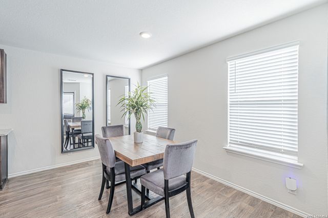 15210 Smoky Honeyeater, San Antonio, TX 78253