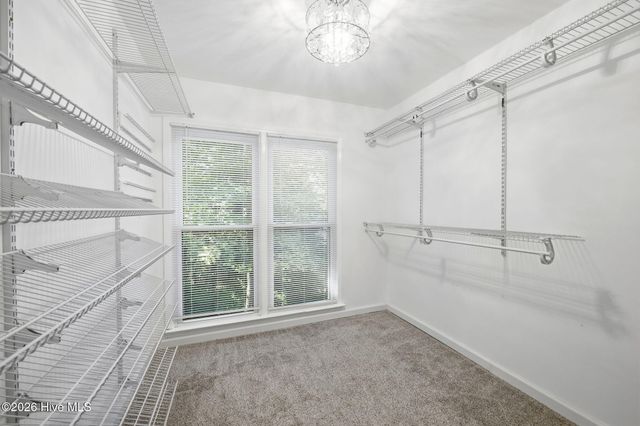 7904 Whitley Drive, Raleigh, NC 27613