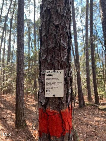 100 Anfield Road, New Hill, NC 27562