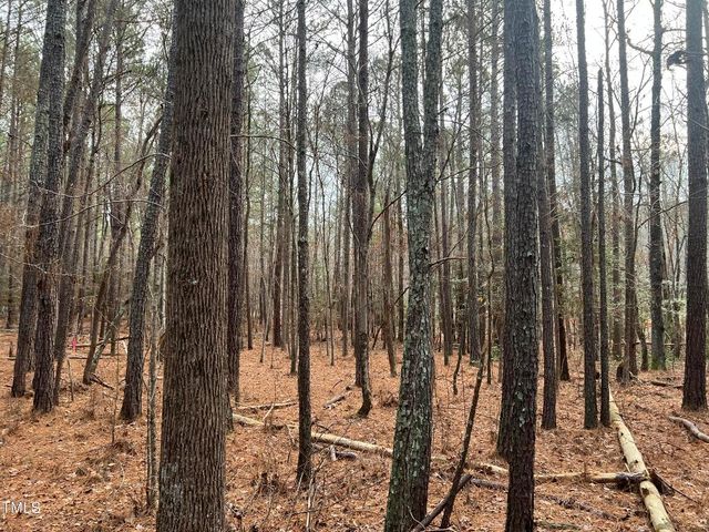 100 Anfield Road, New Hill, NC 27562