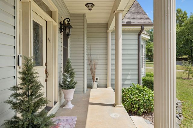 246 Akins Road, Tellico Plains, TN 37385