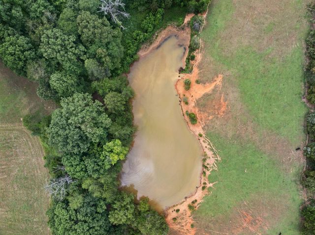 246 Akins Road, Tellico Plains, TN 37385