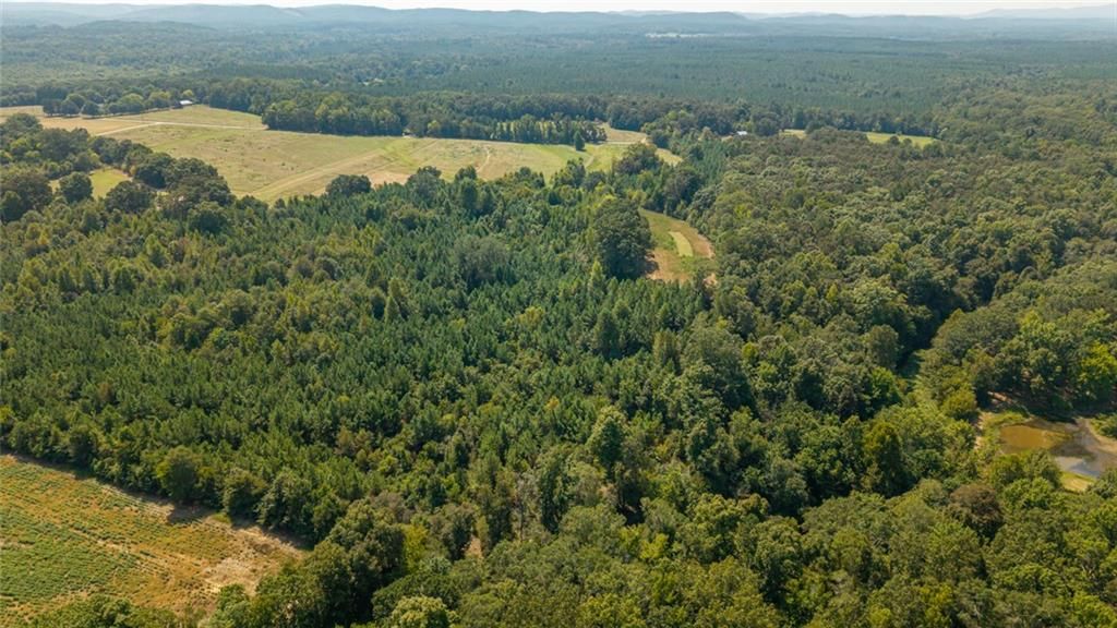 Image 4 of property listing at 0 Livingston Road, Rome, GA 30161