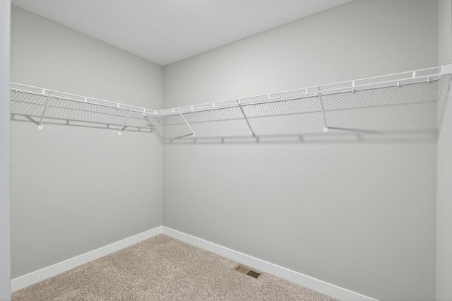 12669 Erskin Street NE, Blaine, MN 55449