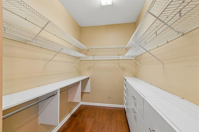 19706 ANGEL LANE, Odessa, FL 33556