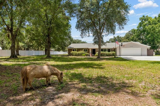 19706 ANGEL LANE, Odessa, FL 33556