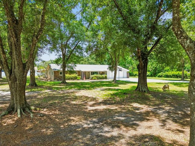 19706 ANGEL LANE, Odessa, FL 33556