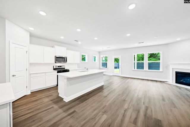 118 Monroe Preserve Lane, Chapin, SC 29036