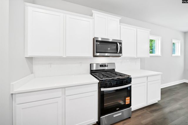 118 Monroe Preserve Lane, Chapin, SC 29036