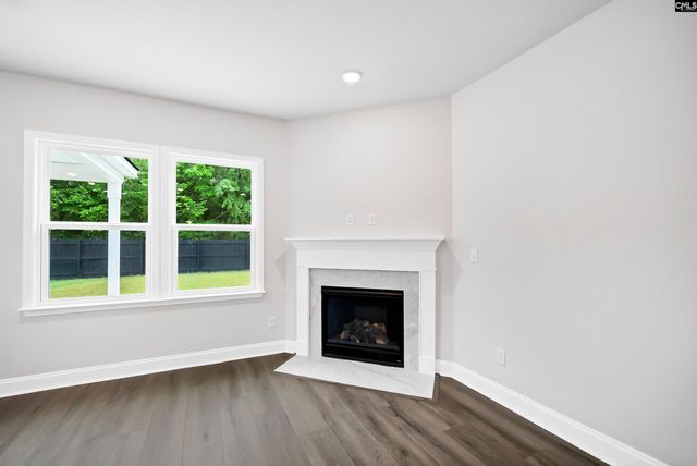 118 Monroe Preserve Lane, Chapin, SC 29036