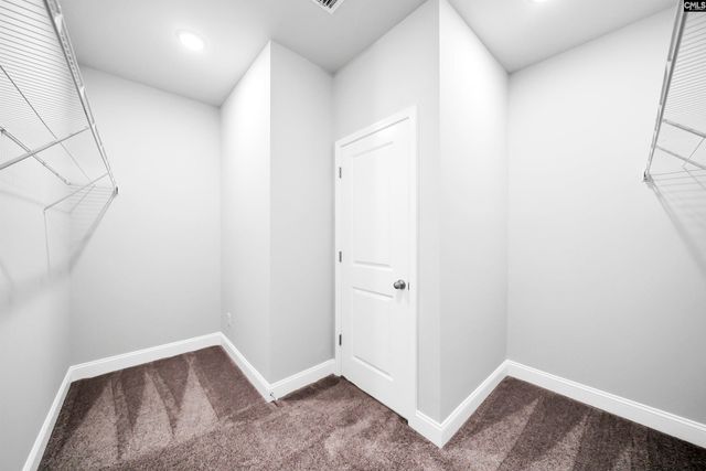 118 Monroe Preserve Lane, Chapin, SC 29036