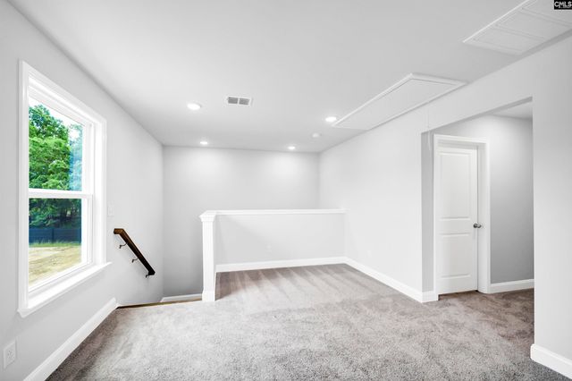 118 Monroe Preserve Lane, Chapin, SC 29036