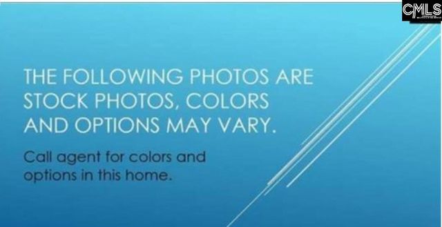 118 Monroe Preserve Lane, Chapin, SC 29036