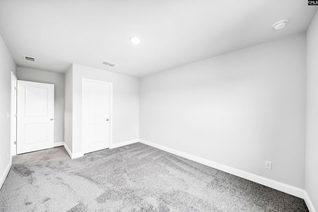 118 Monroe Preserve Lane, Chapin, SC 29036