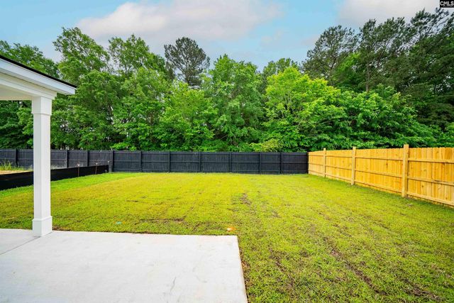 118 Monroe Preserve Lane, Chapin, SC 29036