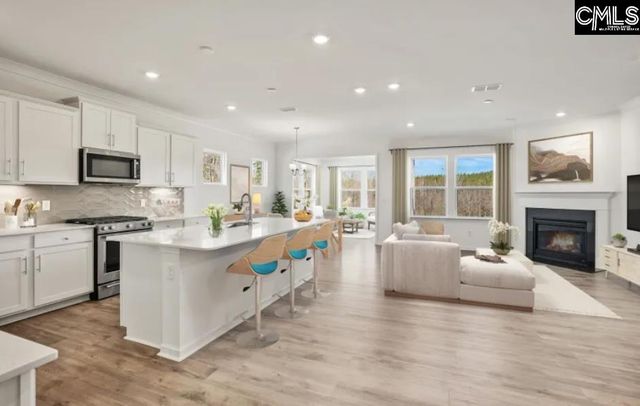 118 Monroe Preserve Lane, Chapin, SC 29036