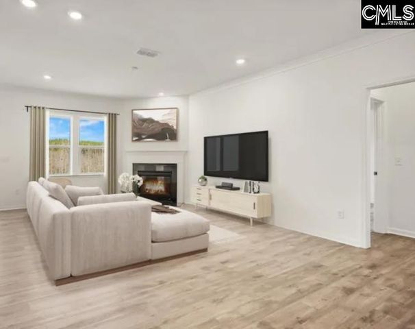 118 Monroe Preserve Lane, Chapin, SC 29036