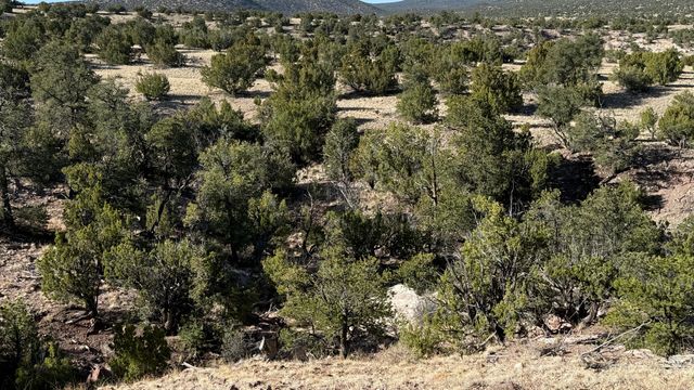 Lot 21 Pinon Springs Ranch, Magdalena, NM 87825