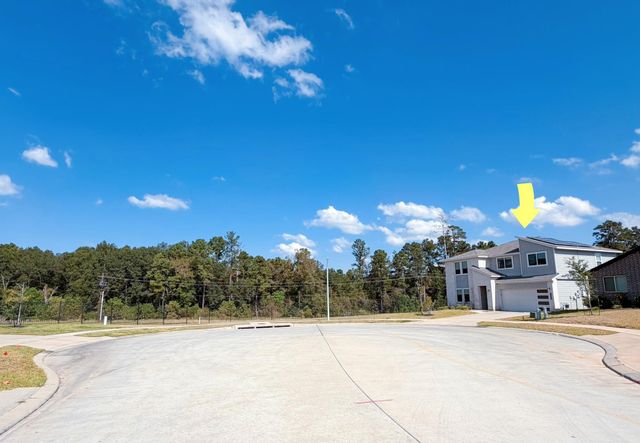 14003 Moose Creek Court, Conroe, TX 77384