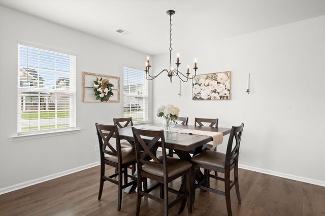 300 Blue Shadows Court, Summerville, SC 29486