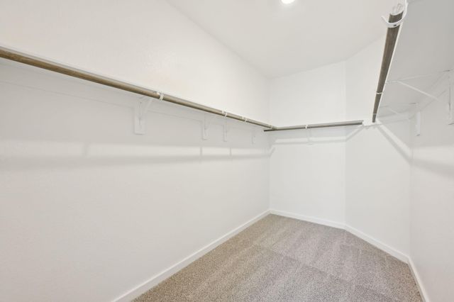 4841 Magnolia Springs Drive, Pearland, TX 77584