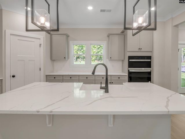 8 Elk Run Court, Chapin, SC 29036