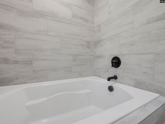 8 Elk Run Court, Chapin, SC 29036