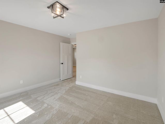 8 Elk Run Court, Chapin, SC 29036