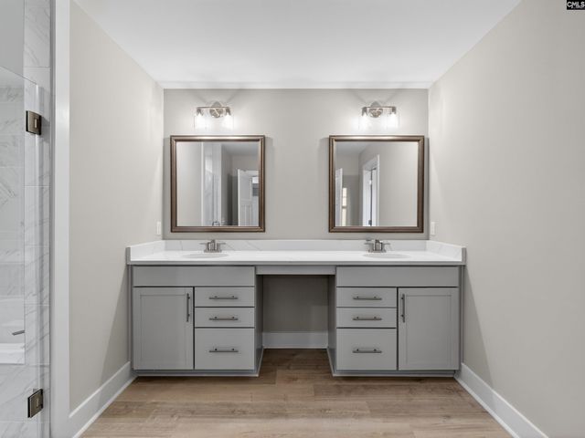 8 Elk Run Court, Chapin, SC 29036