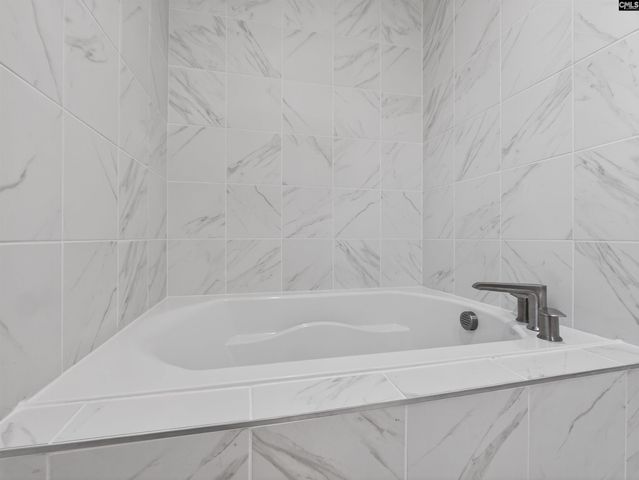 8 Elk Run Court, Chapin, SC 29036