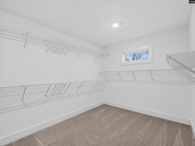 8 Elk Run Court, Chapin, SC 29036