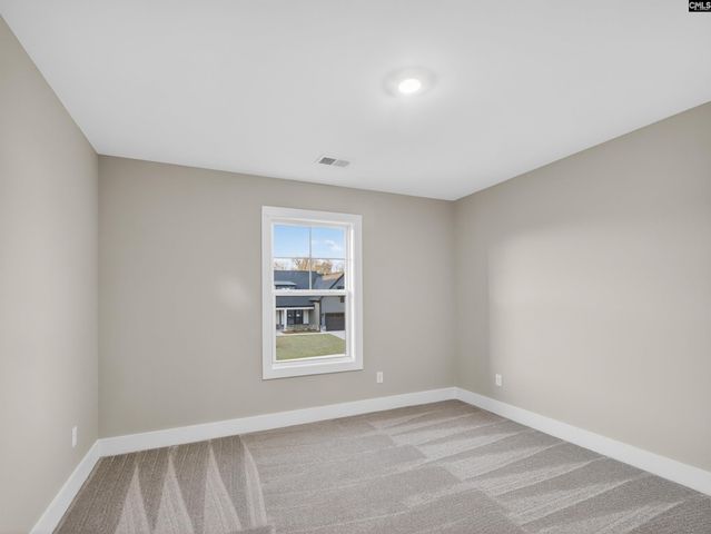 8 Elk Run Court, Chapin, SC 29036